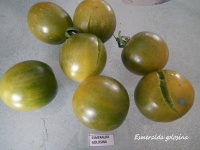 Tomate Esmeralda Golosina-1.jpg