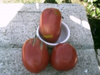 Tomate beef taninges-1.jpg