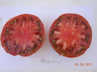 Tomate black krim-2.jpg