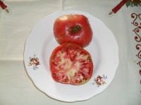 Tomate rose-1.jpg