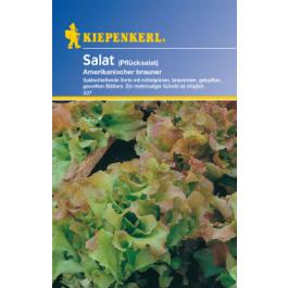 Fichier:Frisée d'Amérique-1.jpg