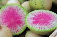 Radis Pastèque 'Watermelon'-1.jpg