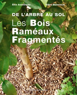 link=http://www.amazon.fr/Bois-Ram%C3%A9aux-Fragment%C3%A9s-larbre-sol/dp/2841568997/semeur-21  SOMMAIRE (abrégé) :