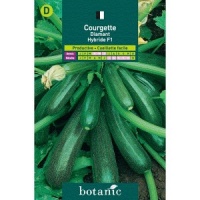 COURGETTE diamant-2.jpg