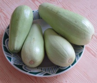 COURGETTE white volontee-1.jpg