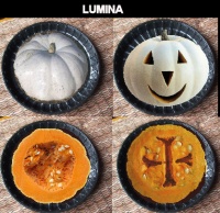 COURGE lumina-1.jpg