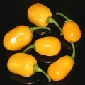 Habanero apple orange.jpg