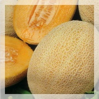 Hale s Best Jumbo melon.jpg