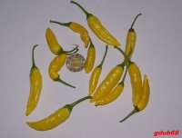 Hot lemon pepper-1.jpg