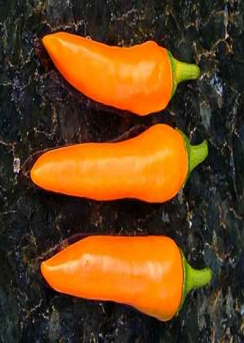 Fichier:Piment bulgarian carrot-1.jpg