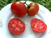 Tomate Marmande RAF-1.jpg