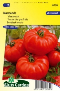 Tomate beefsteak Marmande-1.jpg