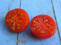 Tomate calabacito rojo-1.jpg