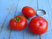 Tomate calabacito rojo.jpg