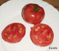 Tomate canabec rose op.jpg