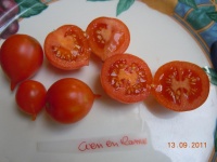 Tomate cien en ramo-1.jpg