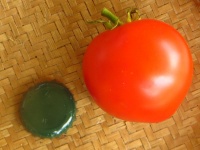 Tomate maskabec-1.jpg