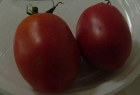 Tomate rose d espelette-1.jpg