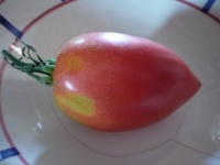 Tomate rose d espelette.jpg