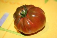 Tomate siniy.jpg