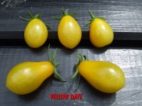 Yellow date-1.jpg